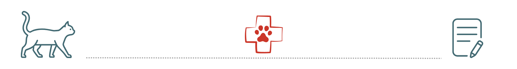 healthy dog supported by pet insurance at Abbey Vet Hospital Antioch CA
