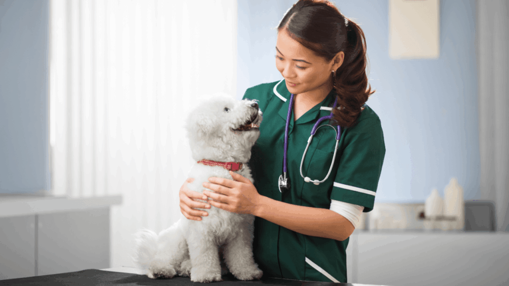 A veterinarian in a green uniform smiling at a small white dog on an examination table.
