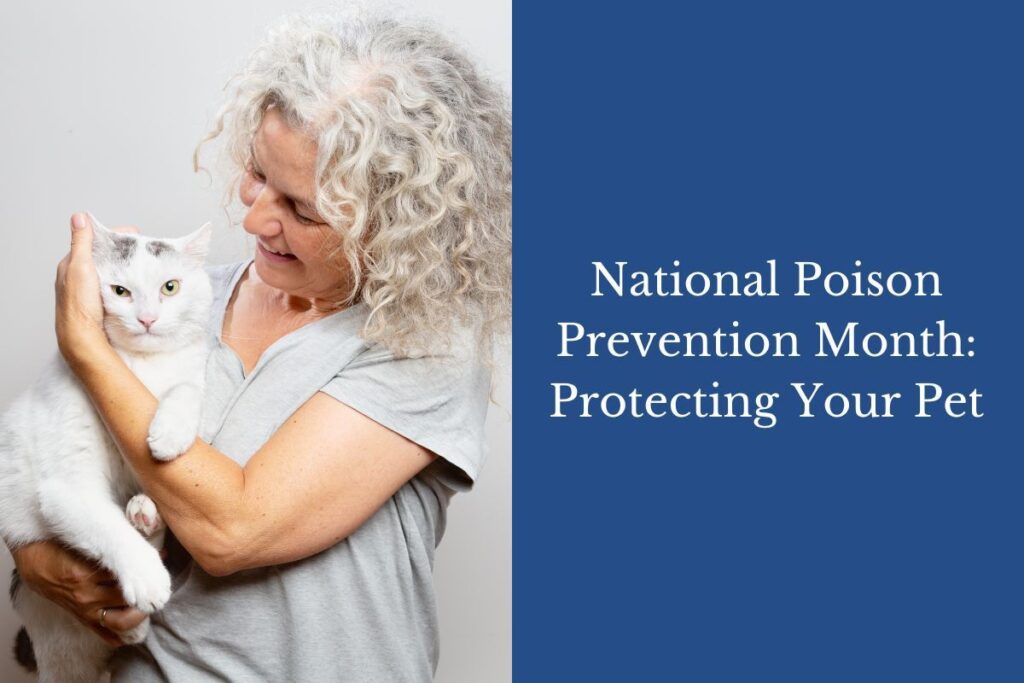Person cuddling a white cat, with a text overlay about National Poison Prevention Month.