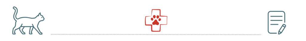 Cat silhouette, red medical cross with paw print, and document with pencil icon.