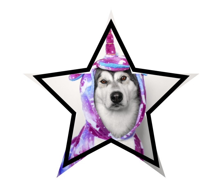 Dog wearing a unicorn costume promoting animal care in Antioch, CA at Abbey Vet Hospital
